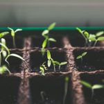 Core investments for the entrepreneur