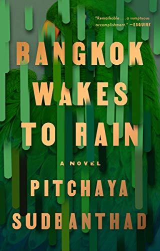 Bangkok Wakes to Rain cover