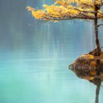 Three tactics for being productive when feeling overwhelmed